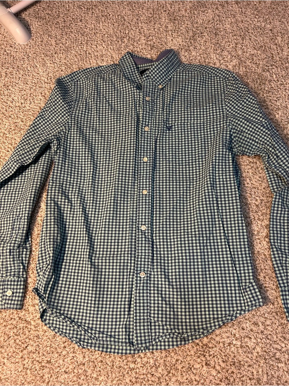 American Eagle Outfitters Blue and Green Gingham Button-Down Shirt
